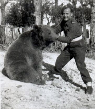Ursul care a luptat cot la cot cu soldatii, in Al Doilea Razboi Mondial